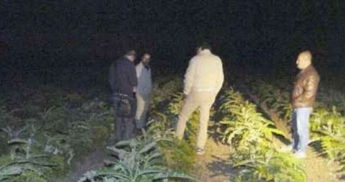 Condannato dopo il furto in un'azienda agricola, è stato ammesso all'affidamento in prova - 