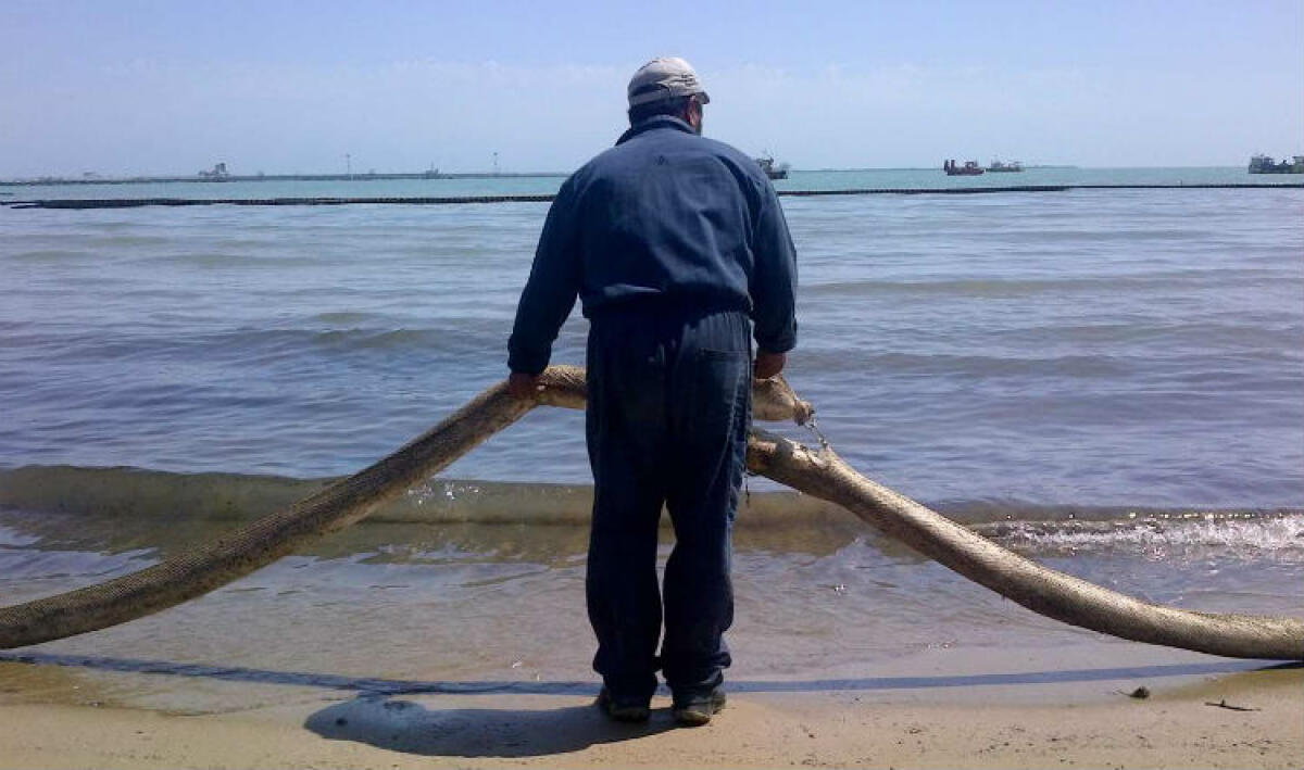 I territori contaminati fanno paura, da Taranto a Gela: l'Iss, "12 mila morti in otto anni" - 