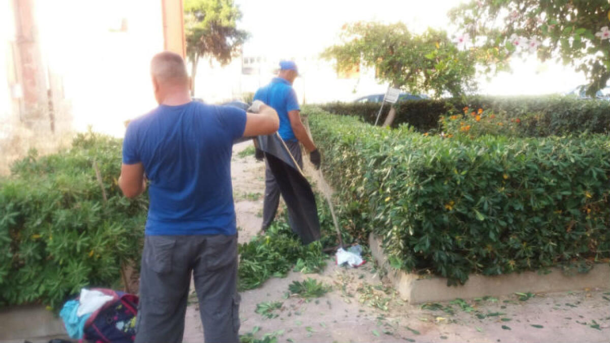 Aree verdi abbandonate, i residenti di largo Cadore si autotassano per i lavori - I residenti si sono autotassati per bonificare le aree verdi