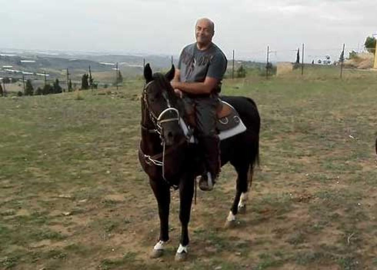 Con l'auto travolge cavallo e cavaliere, in ospedale gestore di un maneggio - Il cavaliere Maurizio Zamproni protagonista dell'incidente a cavallo
