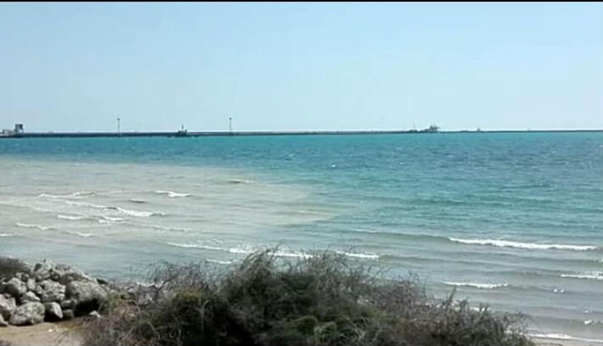 Allarme su possibili reflui in mare, verifiche di Arpa: Amato, "capitaneria informata" - 