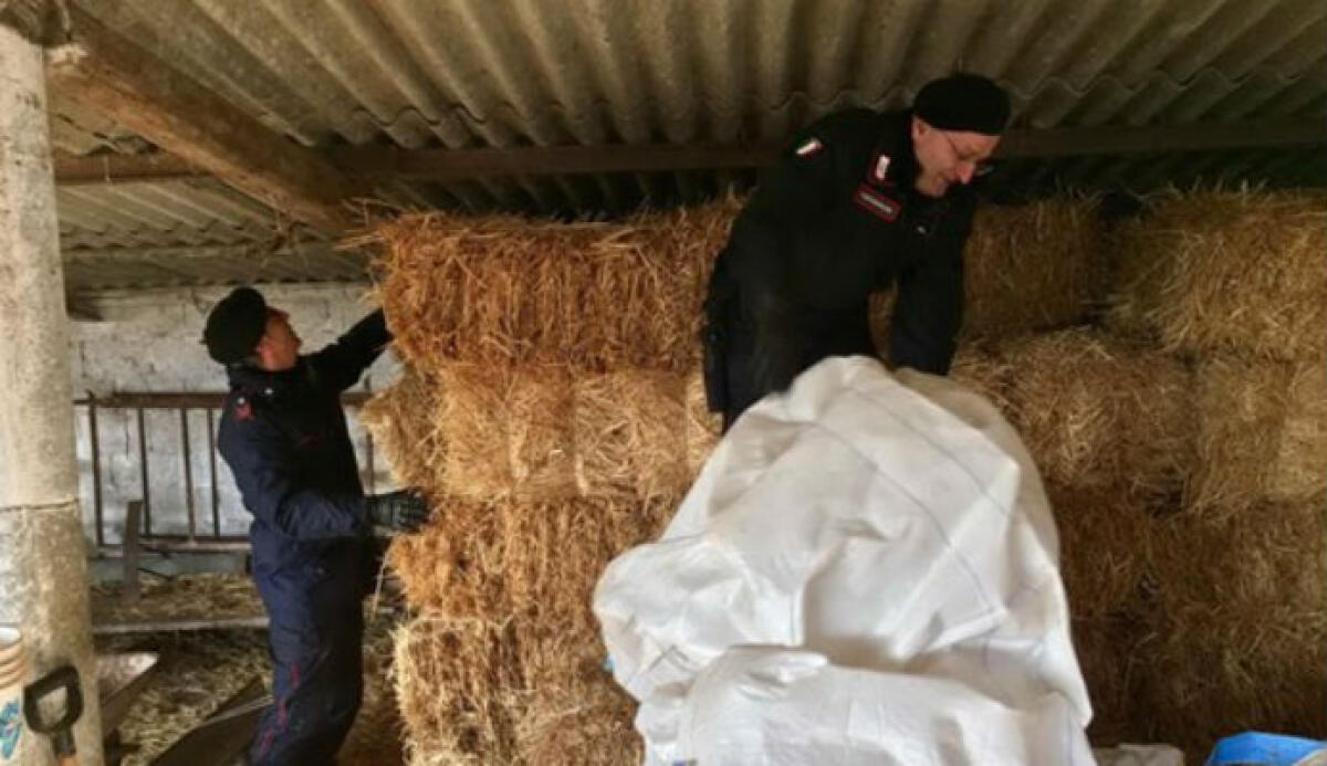 Armi e tre chili di hashish in un ovile, definitiva la condanna a Trubia - 
