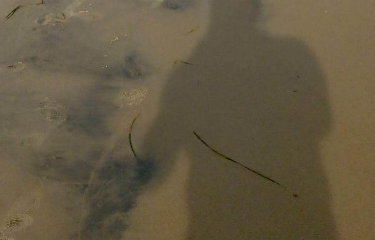 Aria Nuova e Amici della Terra, "idrocarburi in spiaggia sul lungomare" - Le tracce individuate dagli ambientalisti