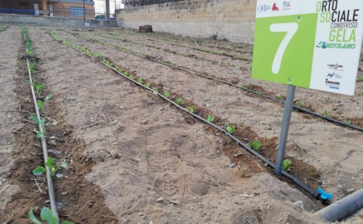 Quasi 50 famiglie hanno già adottato un pezzo di Orto Sociale - 