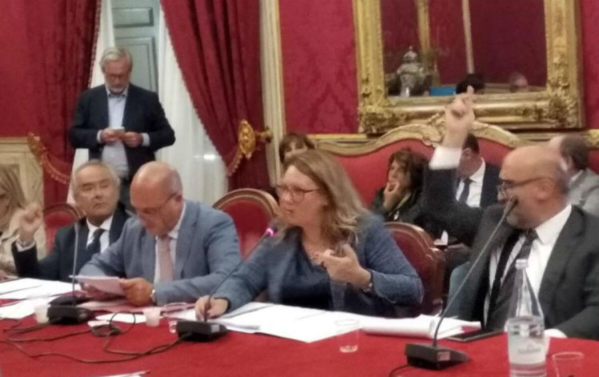 L'area di crisi, all'Ars niente sindacati ma spunta Siciliano: Di Paola, "grave l'esclusione" - La riunione convocata dalle commissioni ambiente e attività produttive all'Ars
