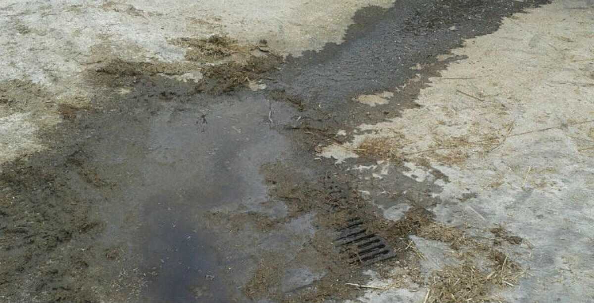 Reflui in un'area demaniale, manager e tecnici di Caltaqua pagheranno ammenda da 10 mila euro - 