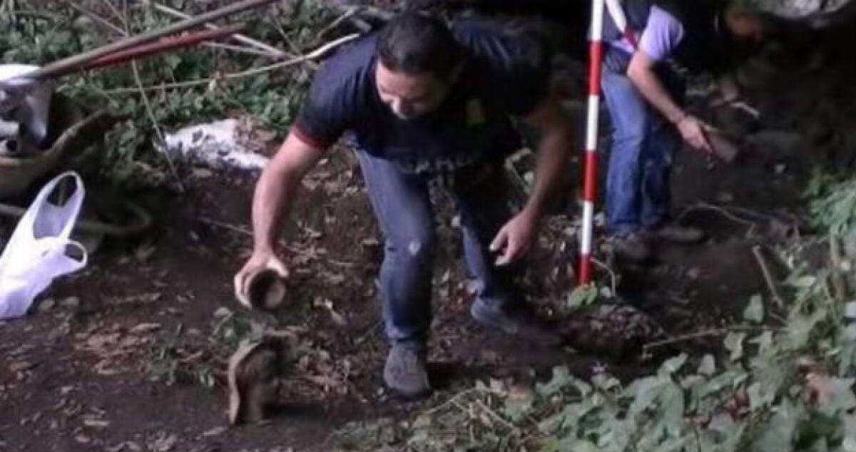 L'inchiesta "Demetra", Pellegrino va ai domiciliari: è accusato di traffico di reperti archeologici - 