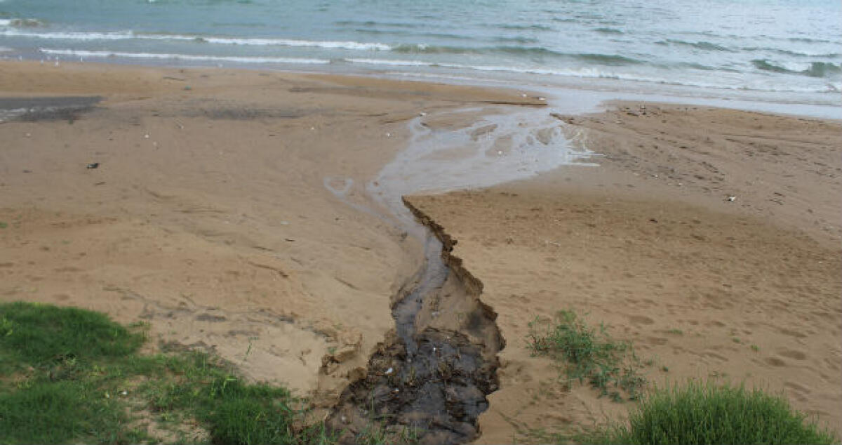 Liquami in spiaggia sul lungomare, la denuncia di Amici della Terra: "Presenteremo un esposto" - 