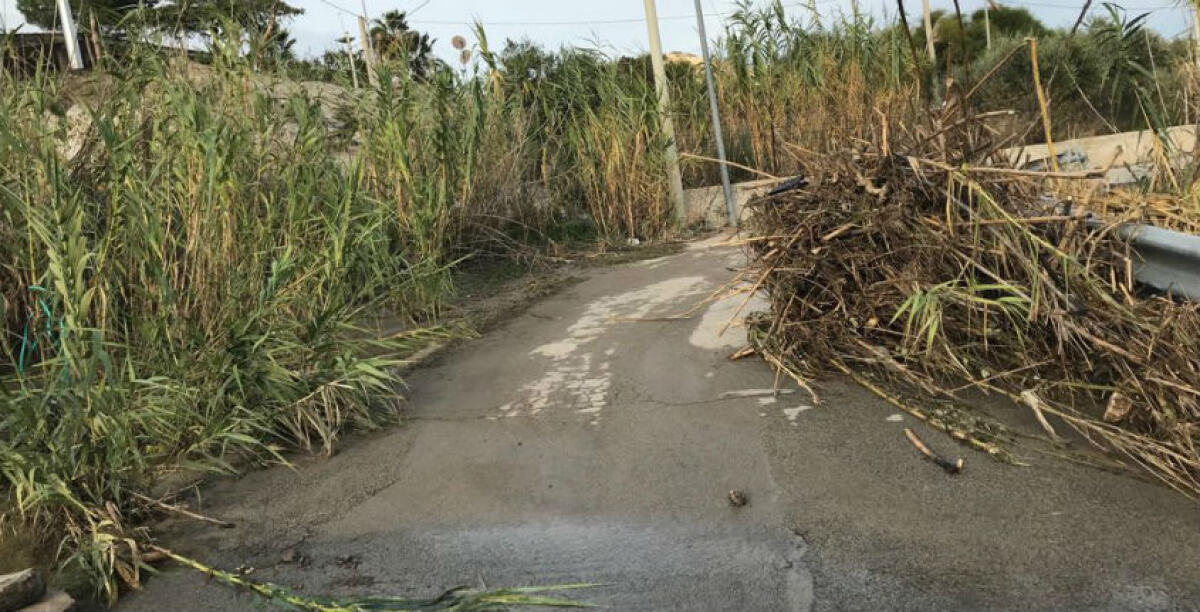 Manfria nell’incuria: zone al buio, sporcizia e strade impraticabili -