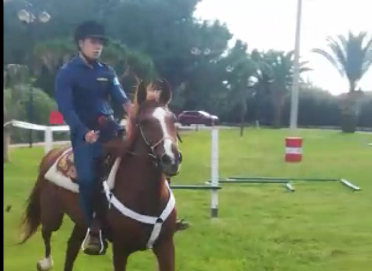 Cavalieri gelesi protagonisti a Siracusa con Giuseppe Lauria e Francesco Vella - Un cavaliere della “New Pegaso Gela” di Simona Caso e Maurizio Zamproni 