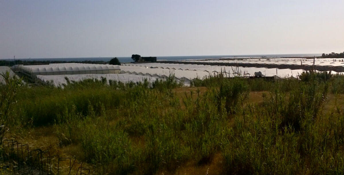 Non ha rubato l'energia elettrica, assolto un imprenditore agricolo: i controlli a Feudo Nobile - 