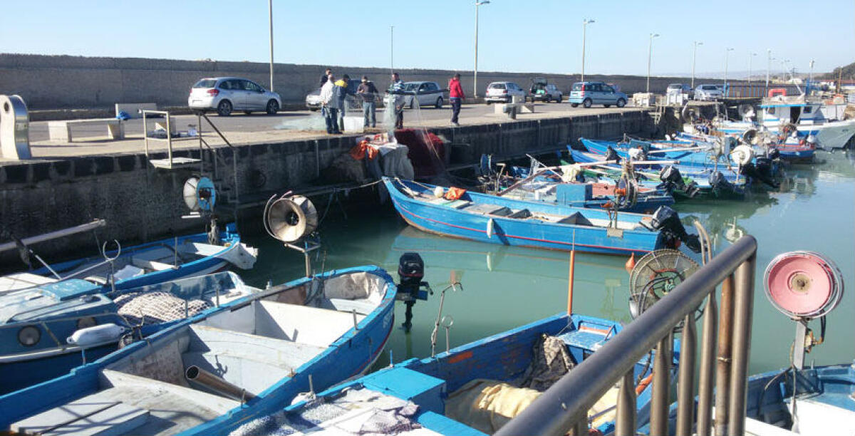 Mancano i risultati della caratterizzazione, vertice sul porto: comitato, "niente stop altrimenti prefetto" -