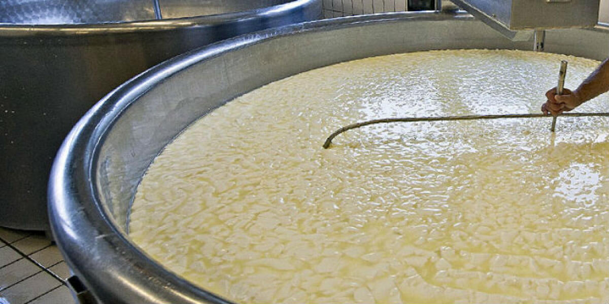 Sospetti sui controlli dei tecnici dell'Asp, ex titolare di un caseificio: "Danno devastante" - 