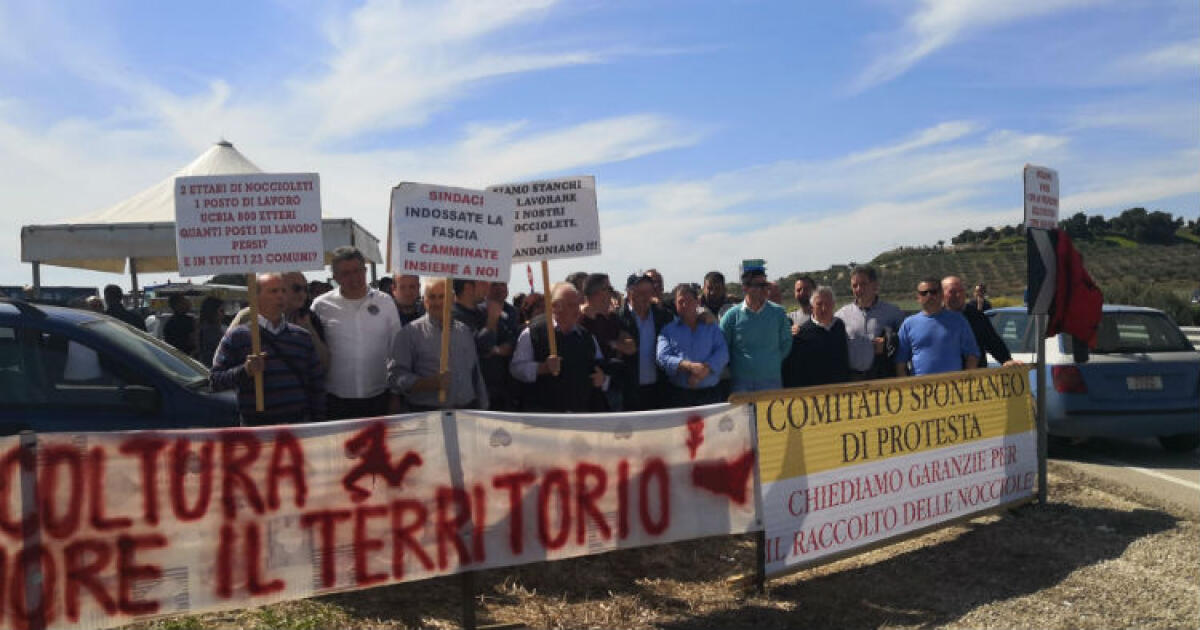 La protesta degli agricoltori, una delegazione dal ministro Centinaio: "Subito controlli alle dogane" - Il presidio organizzato lungo la Gela-Catania