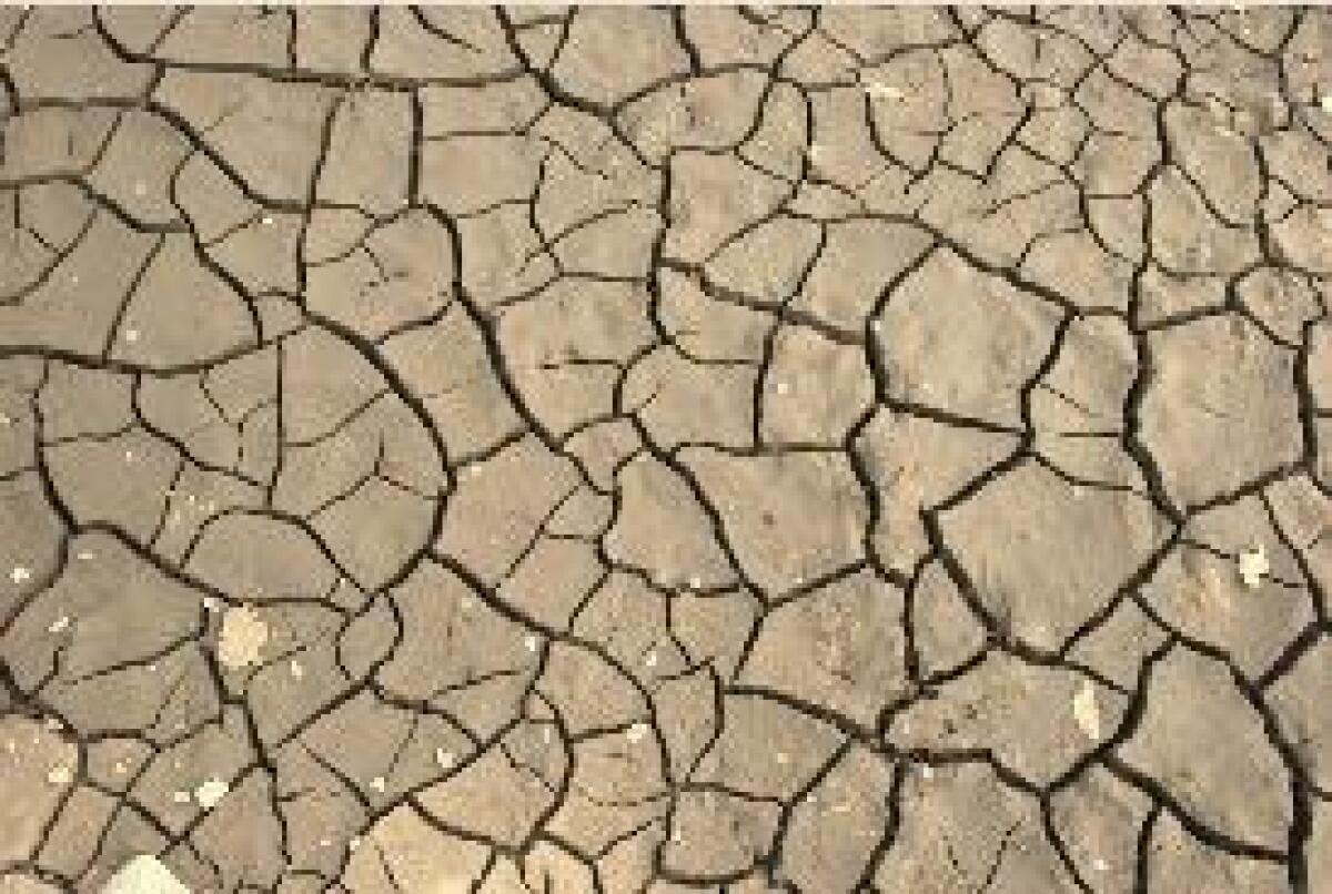 COLDIRETTI "ITALIA A SECCO, 15 MLD DI METRI CUBI D'ACQUA IN MENO" - 