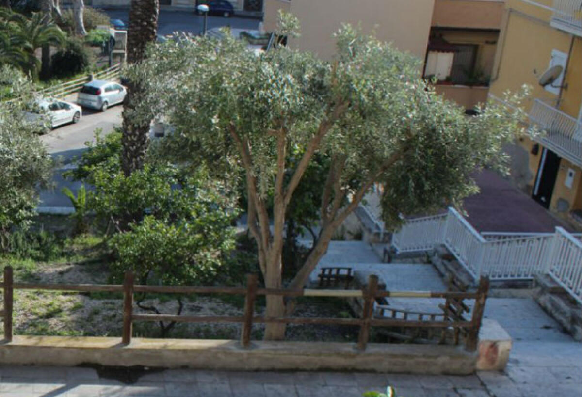 Il bar Belvedere rinascerà, i titolari: "Non abbandoniamo questo territorio" -