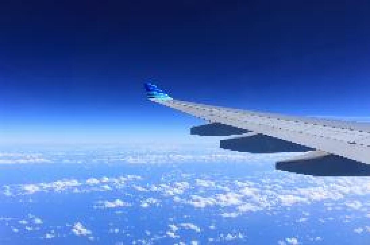 AEROPORTI: CATANIA, STORMO DI UCCELLI IMPEDISCE ATTERRAGGIO 3 VOLI -