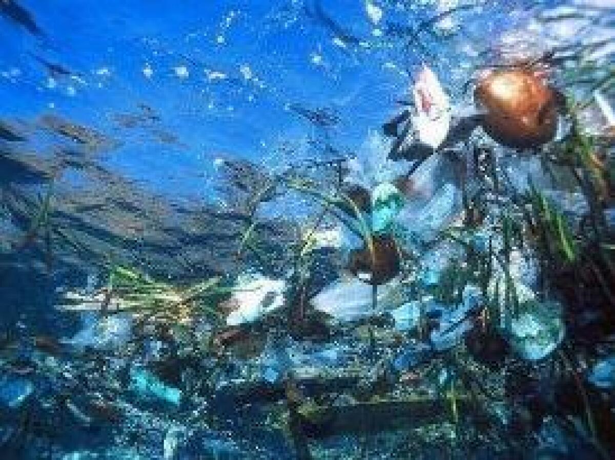 RIFIUTI PLASTICI IN MARE,PESCATORI FIUMICINO NE RACCOLGONO 1 TONNELLATA - 