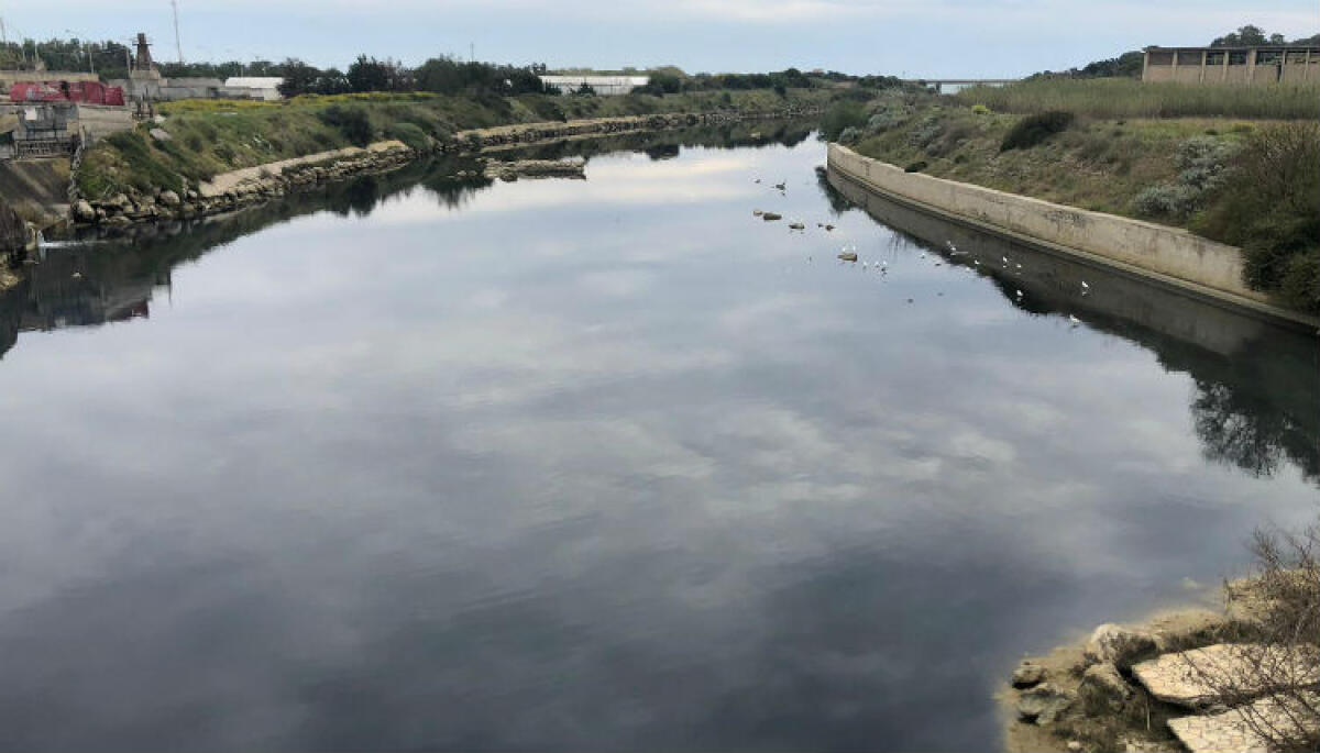 Liquami nel fiume Gela, reflui finiscono in mare: ambientalisti, "servono controlli seri" - Il fiume Gela è costantemente intaccato da sversamenti di ogni tipo
