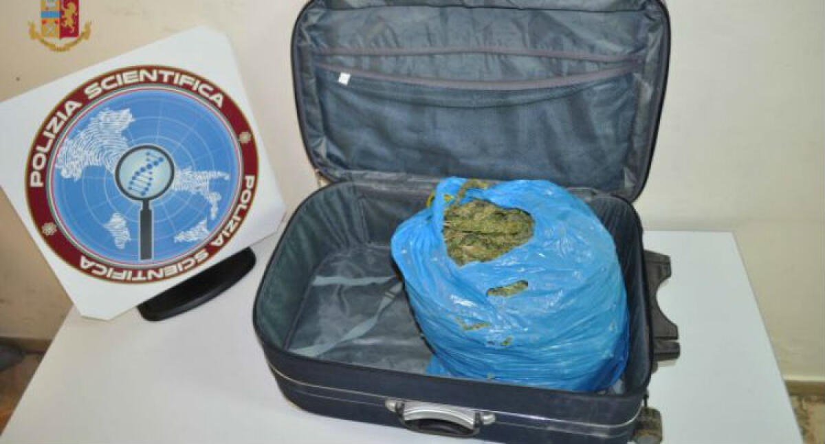 Più di due chili di marijuana nel trolley, giovane gelese arrestato a Messina: disposti domiciliari - La droga sequestrata dai poliziotti