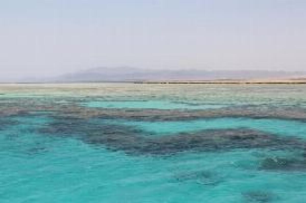 PER I PONTI DI PRIMAVERA MAR ROSSO, SPAGNA USA E ISRAELE AL TOP -