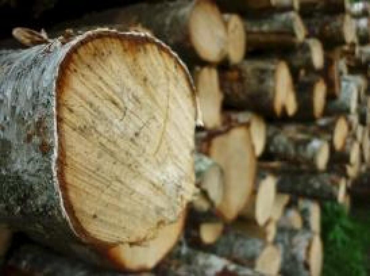 LEGNO, IN LOMBARDIA GRANDI POTENZIALITÀ MA SI RICORRE A IMPORTAZIONI -