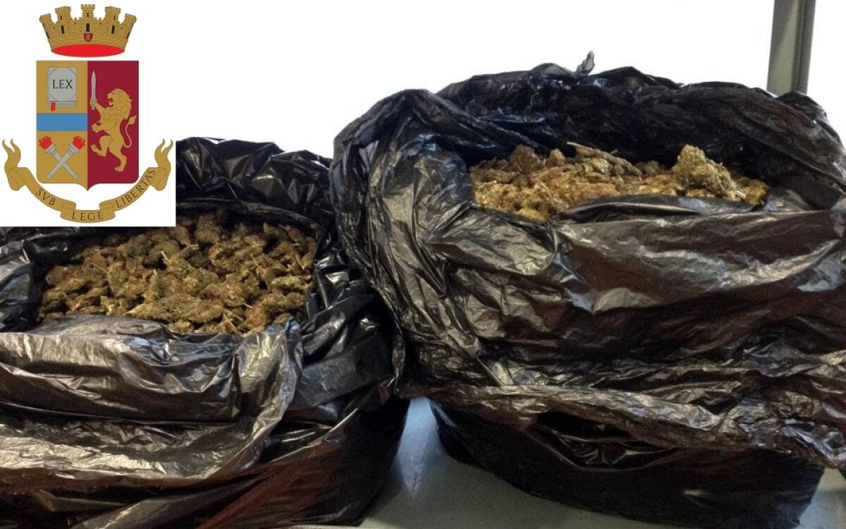 Quindici chili di marijuana nascosti in sacchi, arrestati due niscemesi - 
