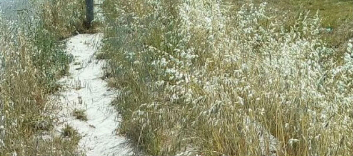La pulizia straordinaria dei quartieri non è rinviabile, situazione sempre più difficile -