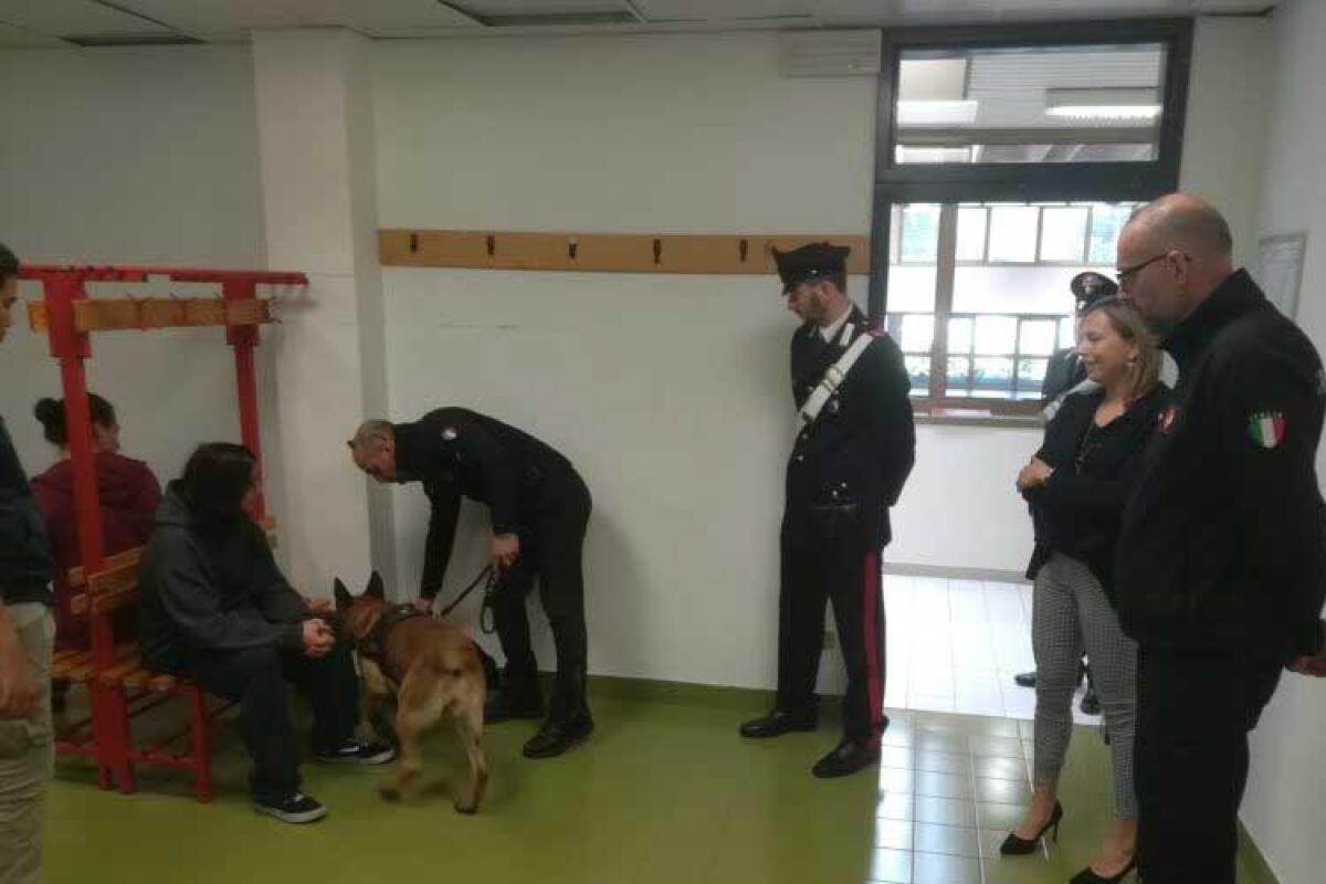 A scuola con lo spinello nello zainetto, segnalato minorenne -