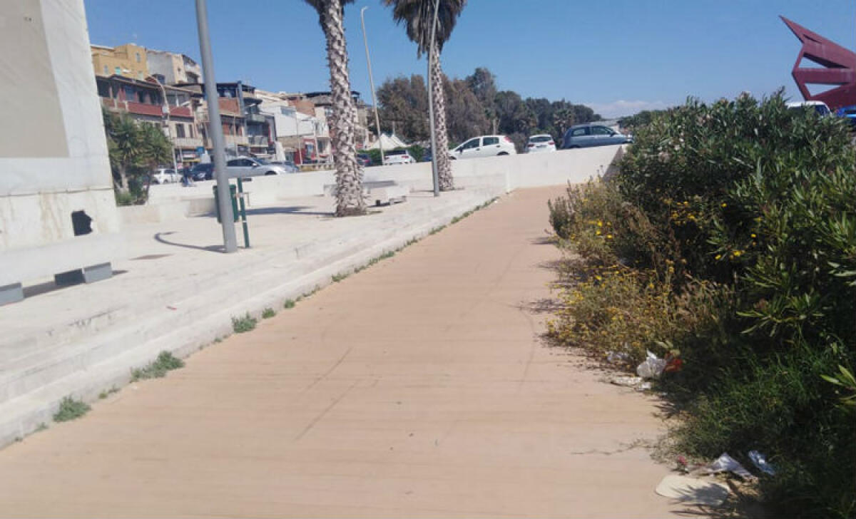 Erbacce e pavimentazione scoscesa, manutenzione assente sul "nuovo" lungomare - La vegetazione ha ricoperto buona parte della passeggiata