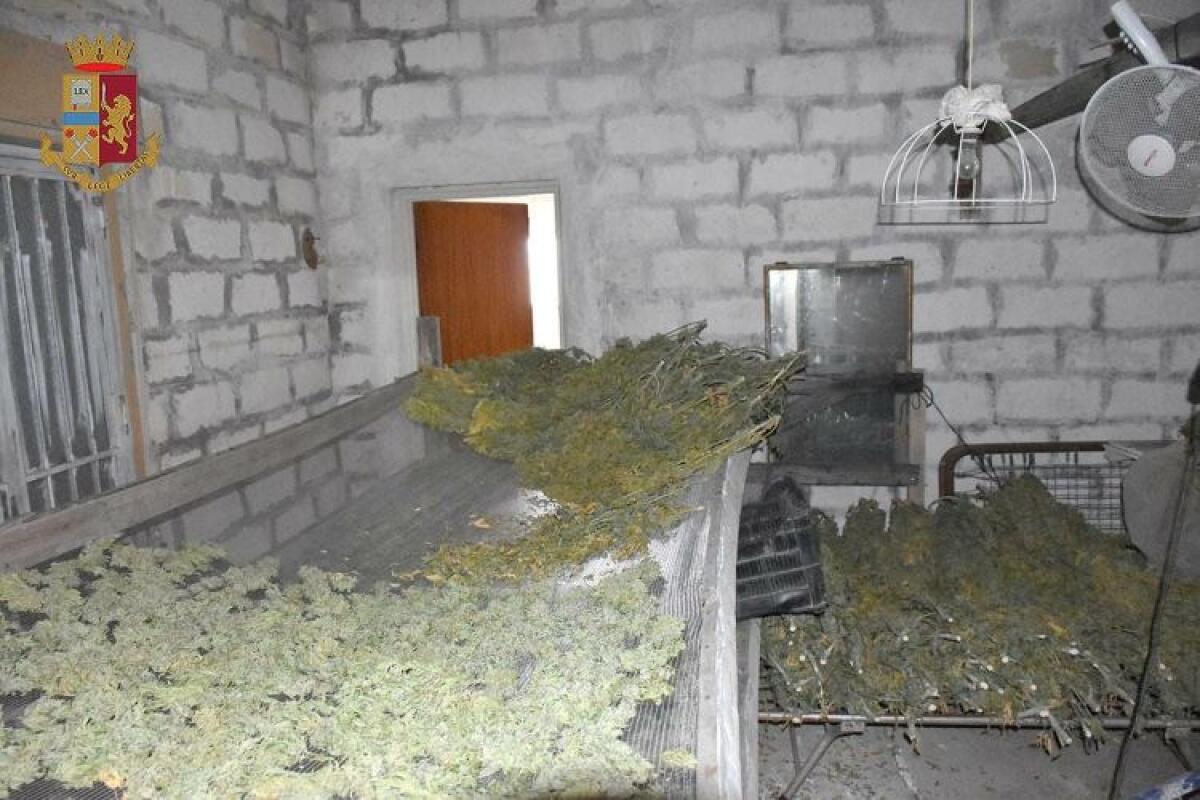 Fondo agricolo per coltivare marijuana, quattro arresti ad Acate: c'è anche un gelese - 
