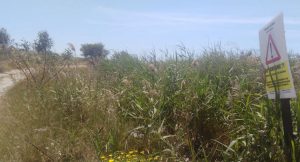 cartello-zona-pericolosa-300x162.jpg