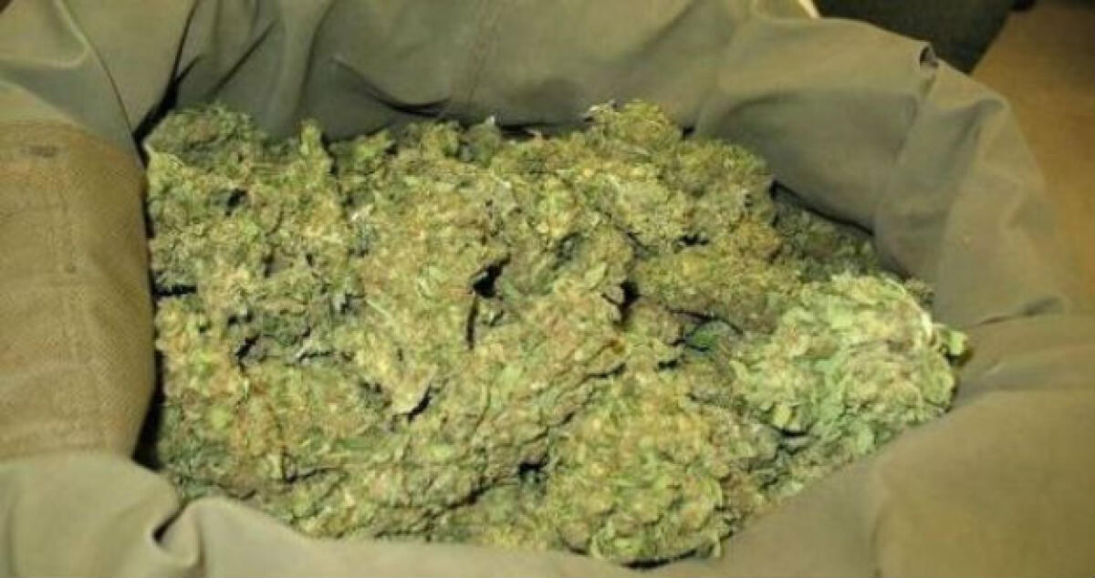 Caricavano quindici chili di marijuana a Feudo Nobile, ventottenne va ai domiciliari -