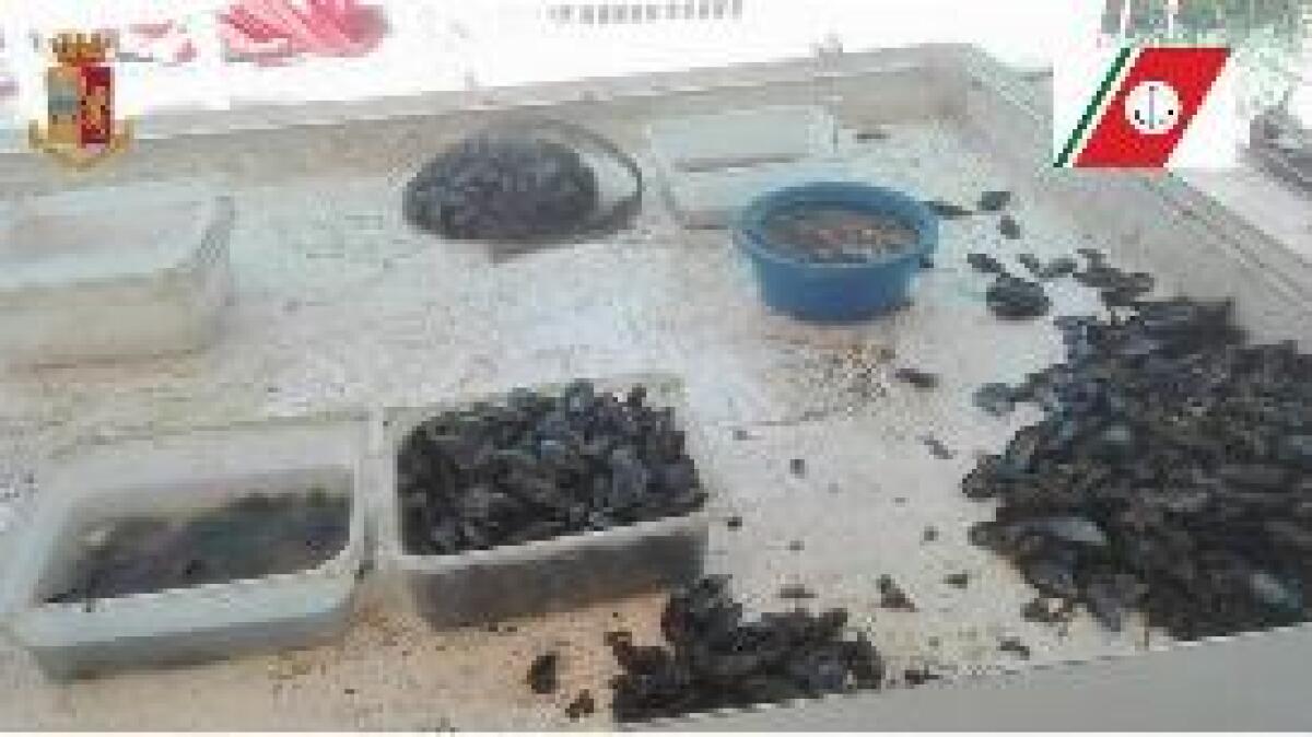 TARANTO, SEQUESTRATI DUE QUINTALI DI COZZE - 