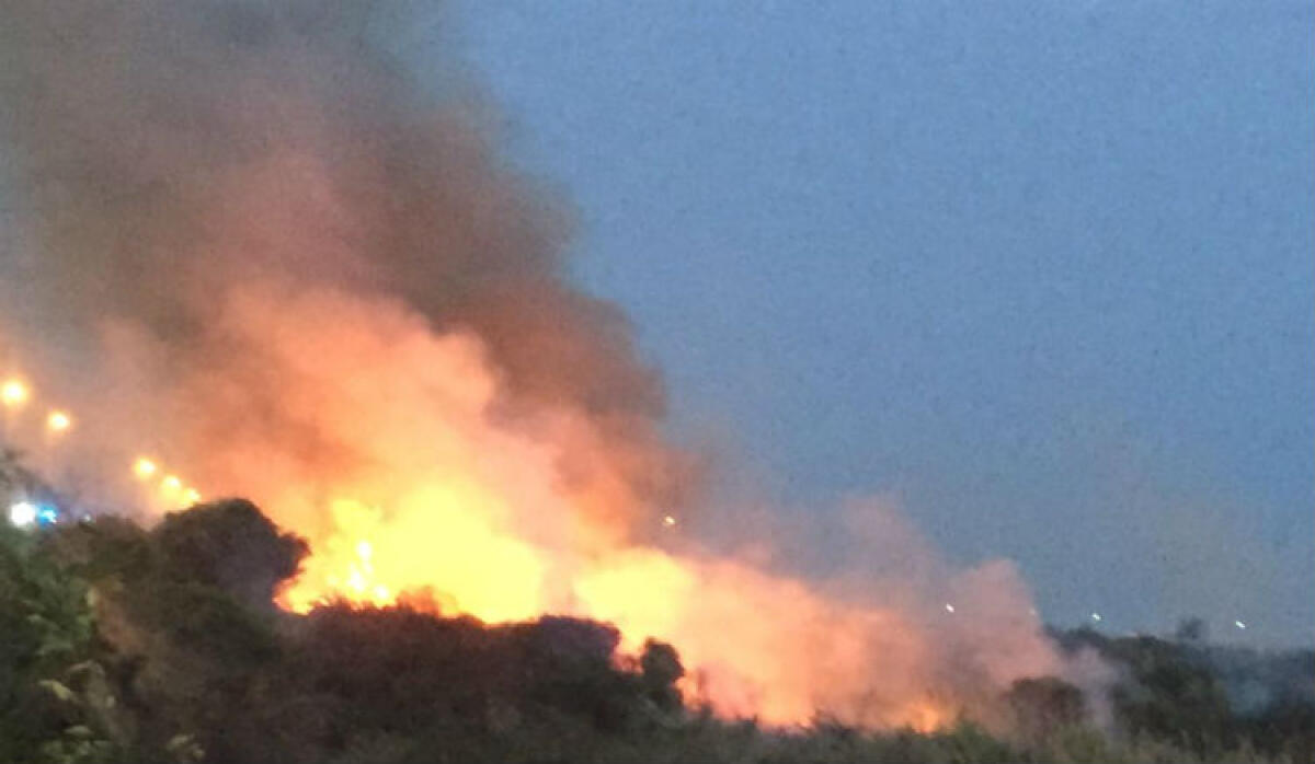 Canneto in fiamme sul lungomare, vasto incendio: zona bloccata per gli interventi - Un vasto rogo sul lungomare