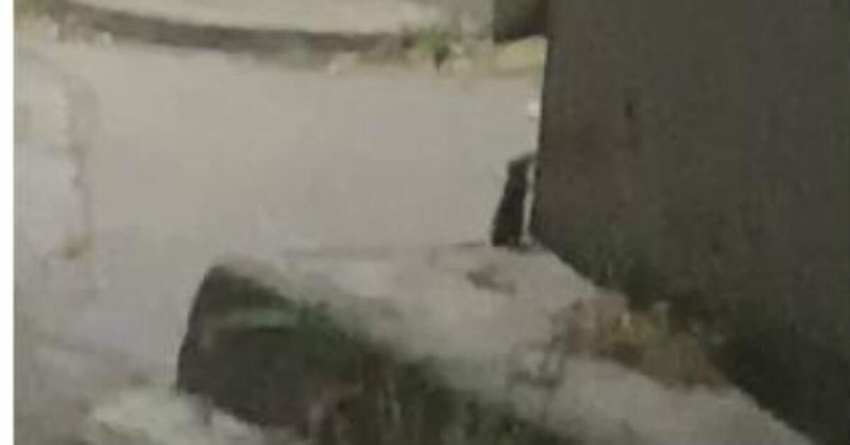 Ratti e degrado, residenti Caposoprano chiedono interventi: denunciano con un video - Un video per denunciare il degrado