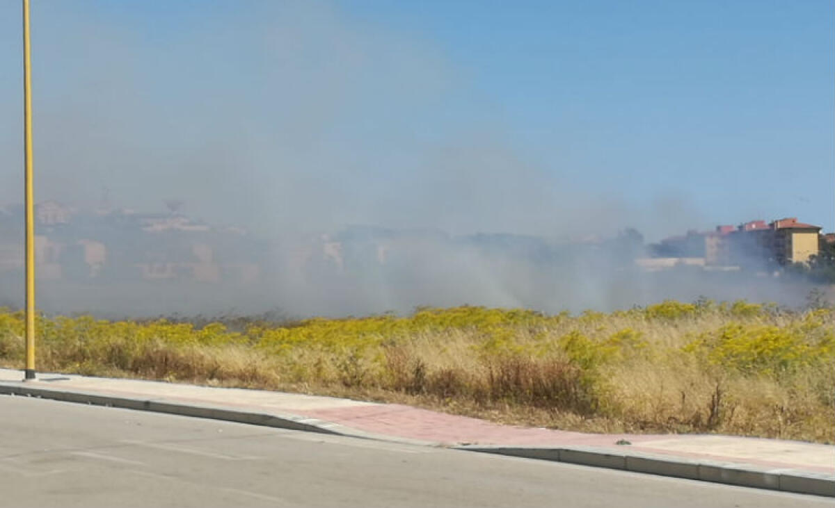 Fuoco alla Cittadella, bruciano le aree incolte: in città già decine di interventi -