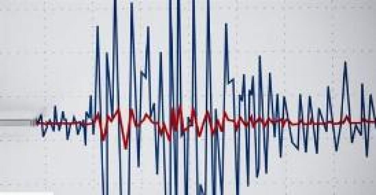 SCOSSA DI MAGNITUDO 3.9 NEL CATANESE - 