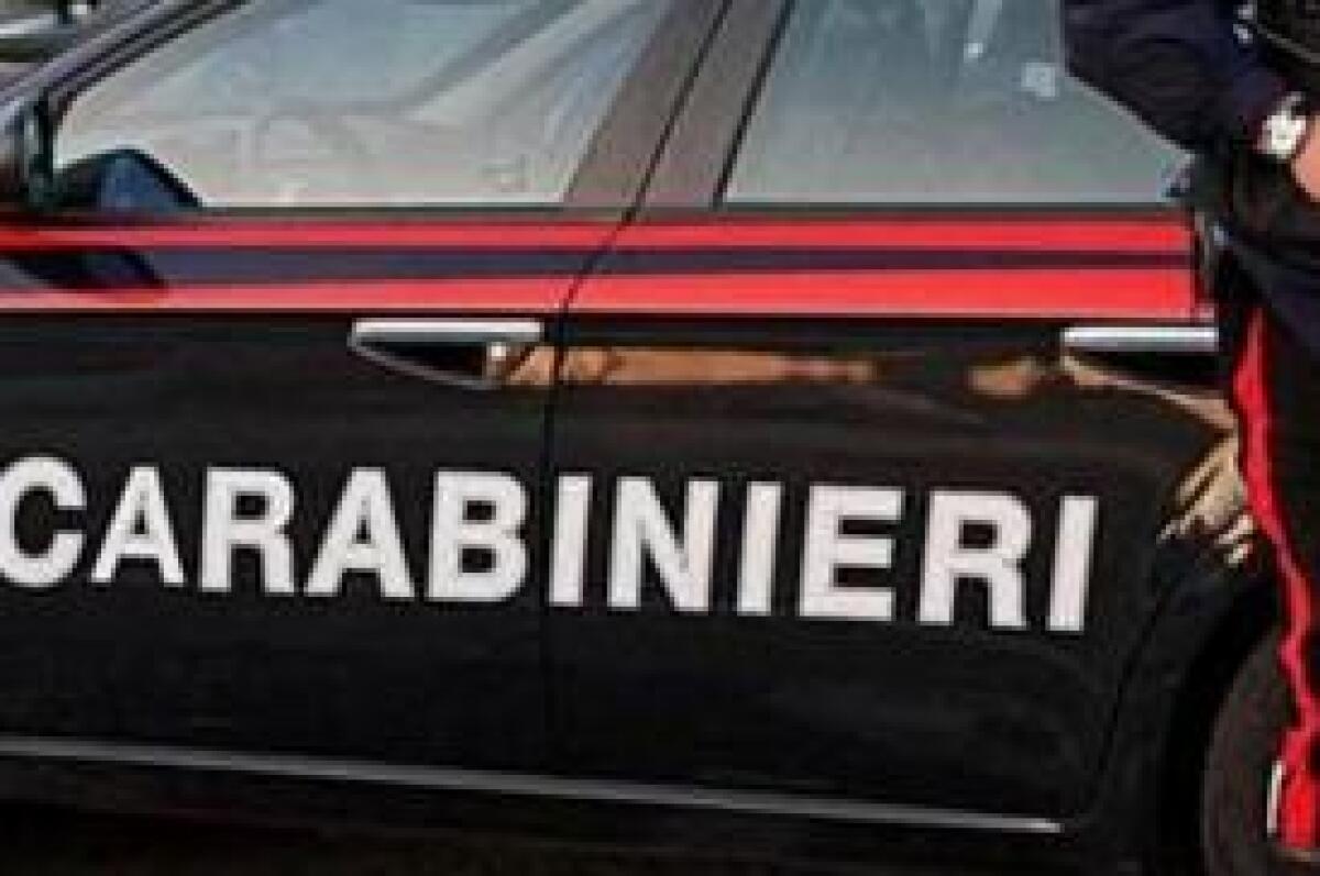 SGOMINATA BABY GANG "SOCIAL" A CREMONA, 7 ARRESTI E 18 DENUNCE - 