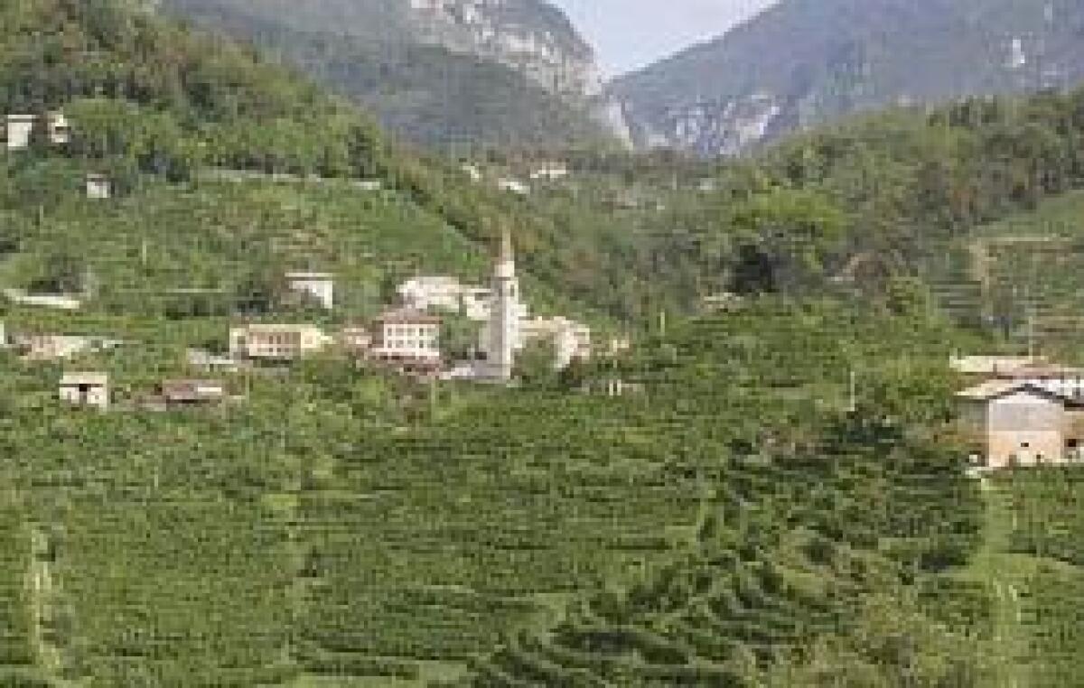 COLLINE PROSECCO NELLA LISTA UNESCO PATRIMONIO DELL'UMANITÀ - 