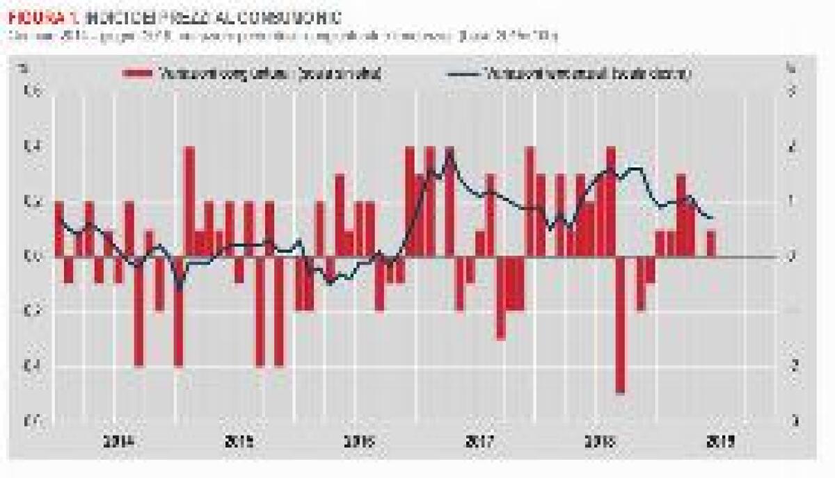 INFLAZIONE, A GIUGNO ISTAT RIVEDE STIMA A +0,7% SU ANNO - 