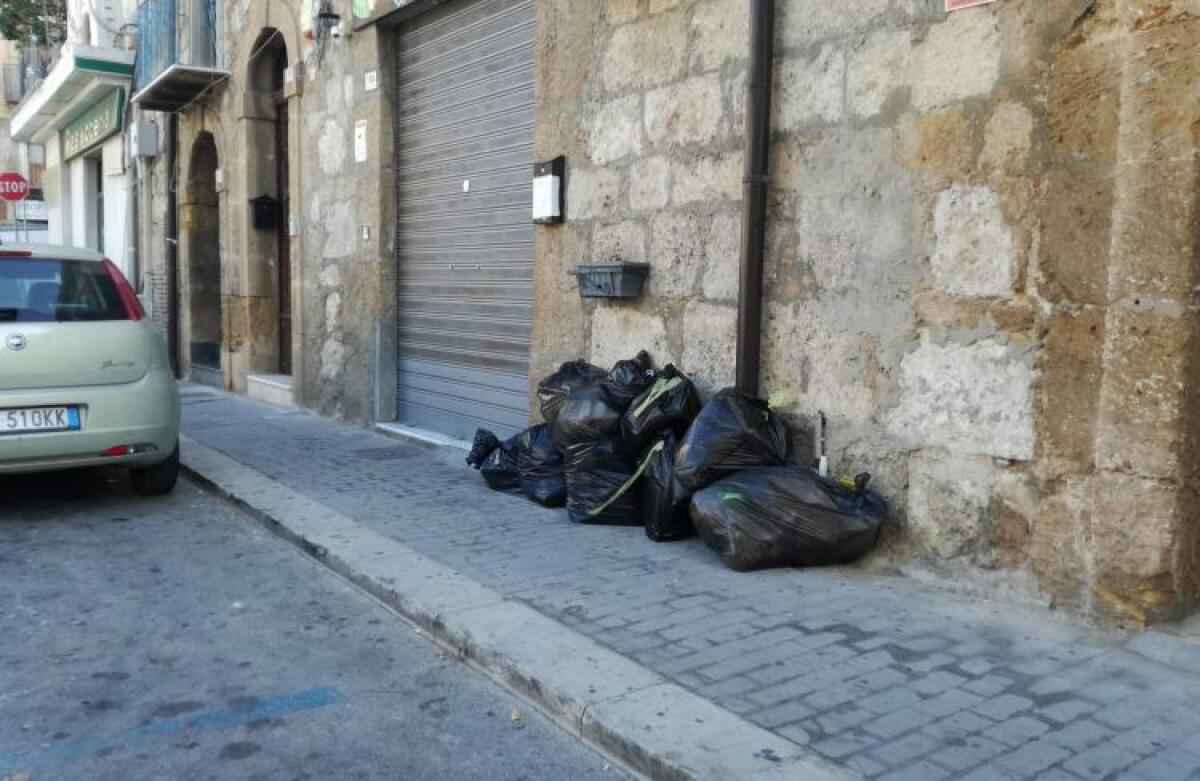 Crisi rifiuti, Giudice: "Appello istituzionale per risolvere l'emergenza" - 