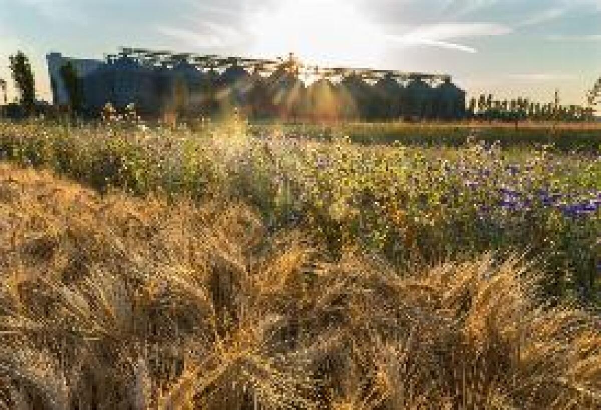 AGRICOLTURA SOSTENIBILE, NASCE LA "CARTA DEL MULINO" - 