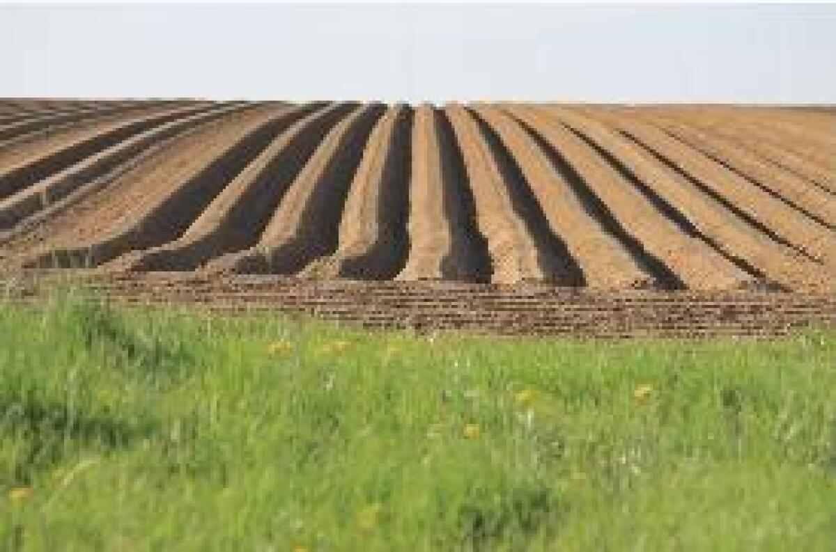 NASCE IL PRIMO HUB TECNOLOGICO PER L'AGRICOLTURA ITALIANA - 