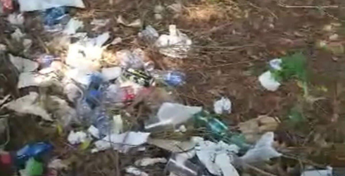 Aree verdi a Macchitella trasformate in discariche, "situazione peggiora con movida" - 