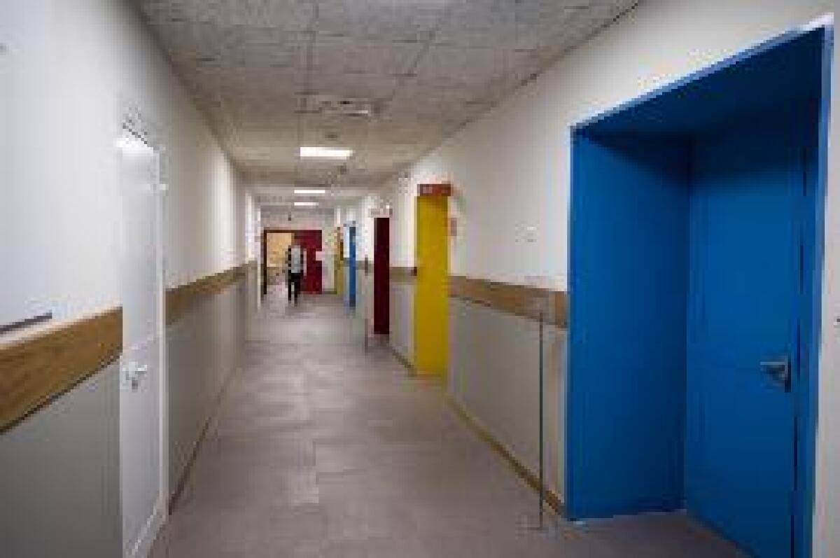 LIVELLI D'ISTRUZIONE IN CRESCITA, CON LAUREA PIÙ FACILE LAVORARE - 