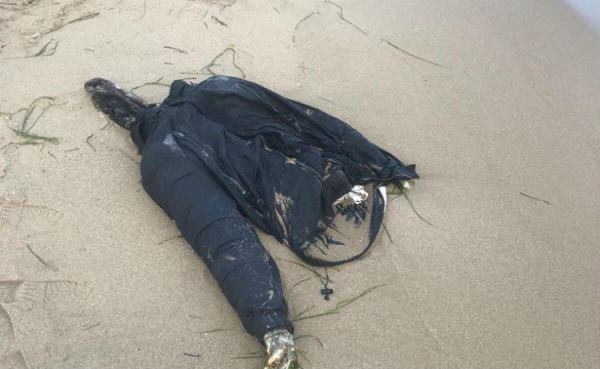 Resti di un corpo umano in mare, allerta a Roccazzelle - I resti ritrovati in mare