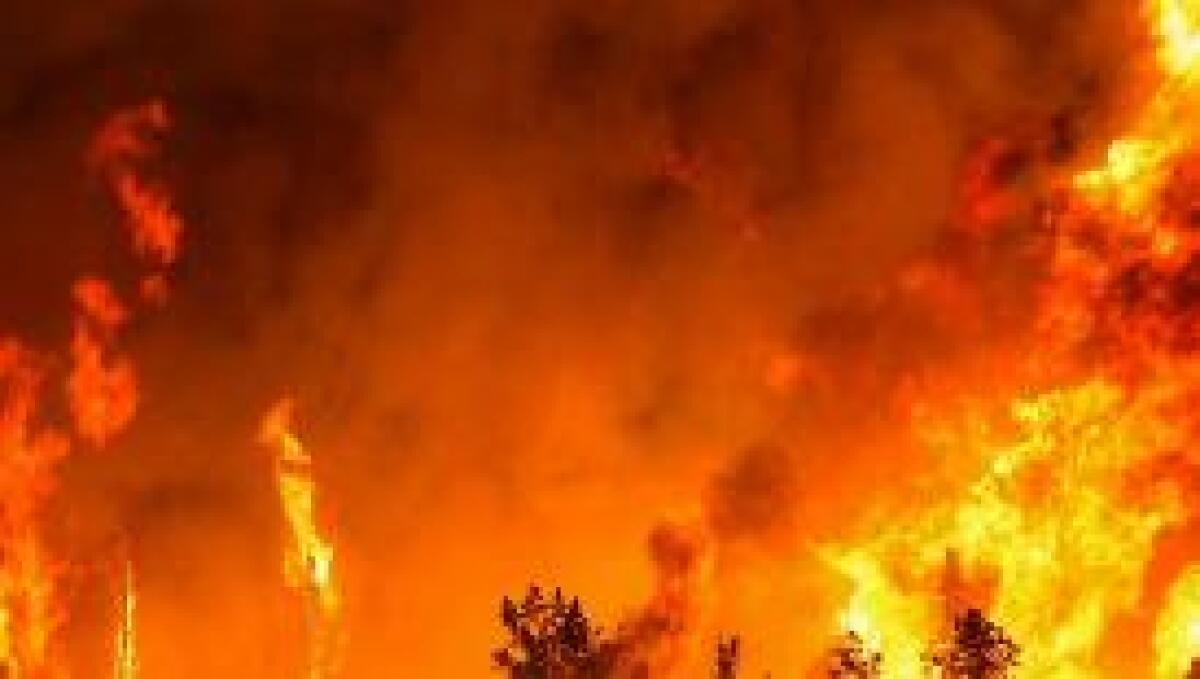 INCENDIO A GRAN CANARIA, 8 MILA EVACUATI - 