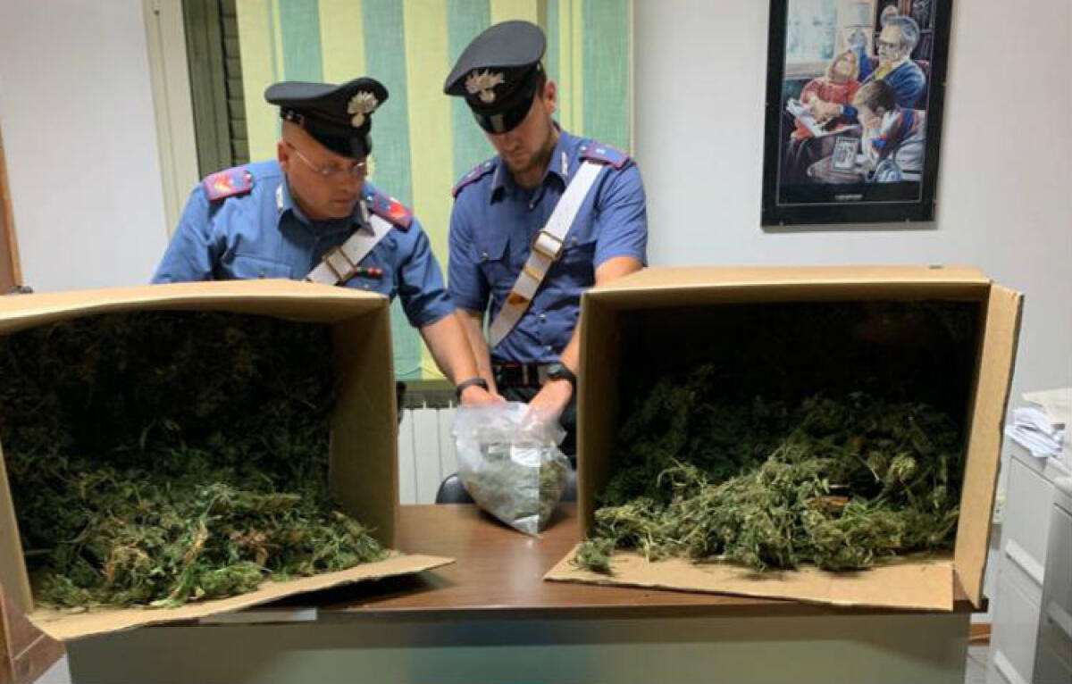 Dieci chili di marijuana in un'abitazione rurale, arrestato cinquantunenne: è proprietario immobile - La marijuana era conservata in diversi scatoloni
