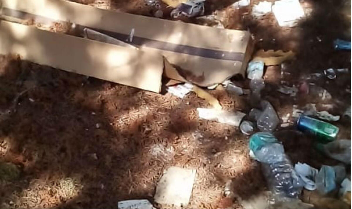 Il piazzale della scuola nel totale degrado, a "Costa Zampogna" rifiuti e incuria - Le aree verdi del piazzale trasforamate in mini discariche